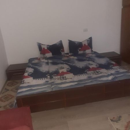 Rover Apartment Cluj Napoca Bagian luar foto